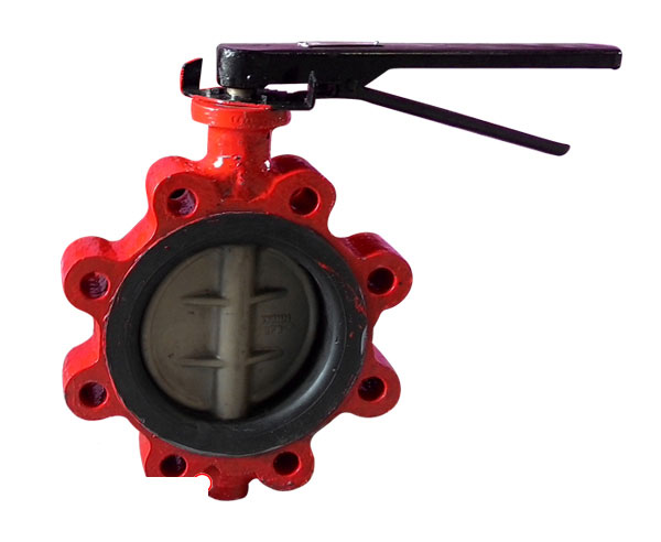 Lugged Butterfly Valves Manufacturer